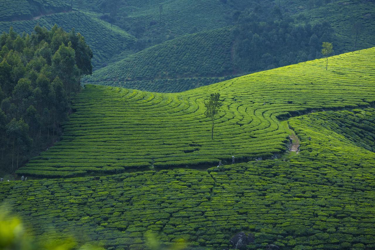 Hotel Mount View Munnar Exterior foto